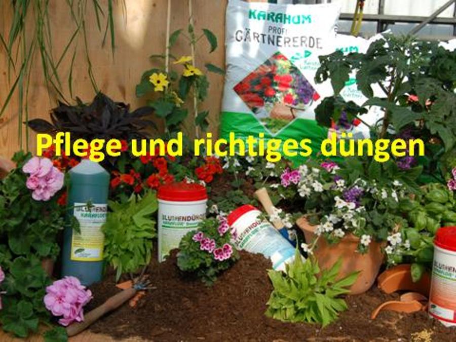 Klick für Vergrößerung Klick für Vergrößerung